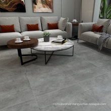 60X60cm Drawing Room Non Slip Ceramic Floor Tile